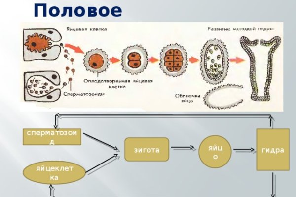 Кракен рабочий сайт