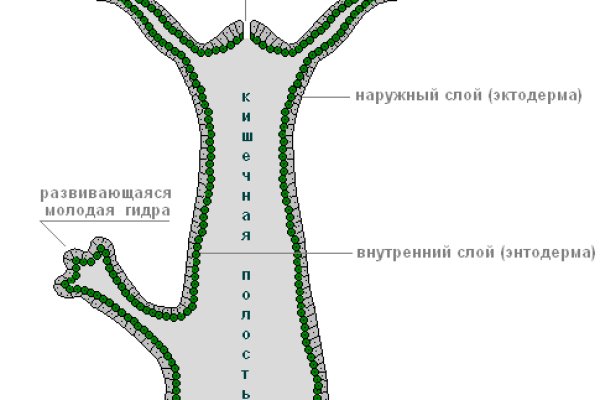 Что такое кракен плейс