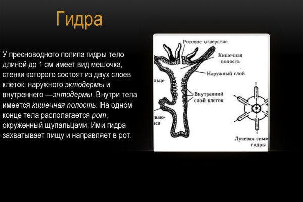 Как зайти на кракен kr2web in